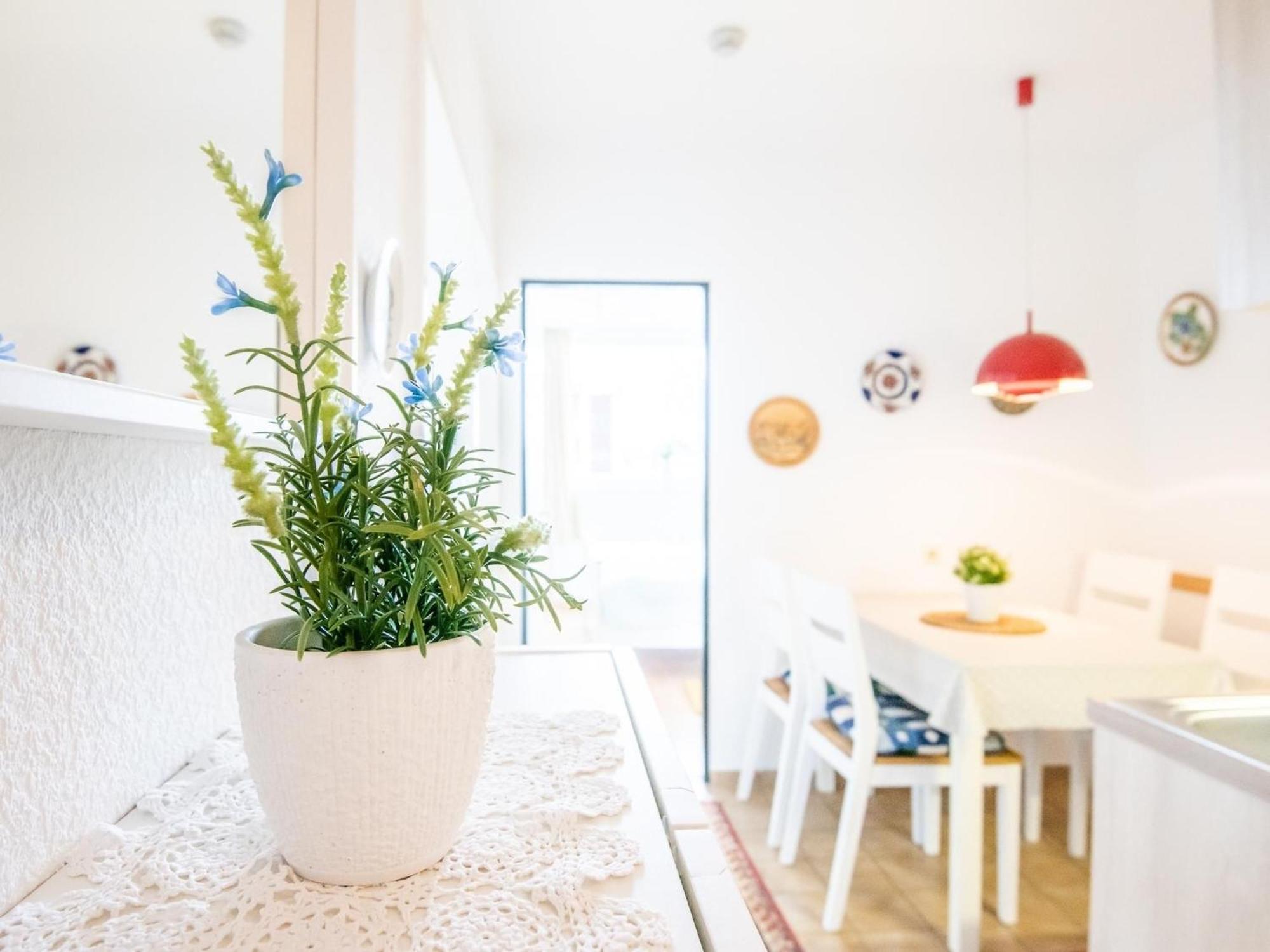 Haus Meeresblick Wohnung 24 Kellenhusen Esterno foto